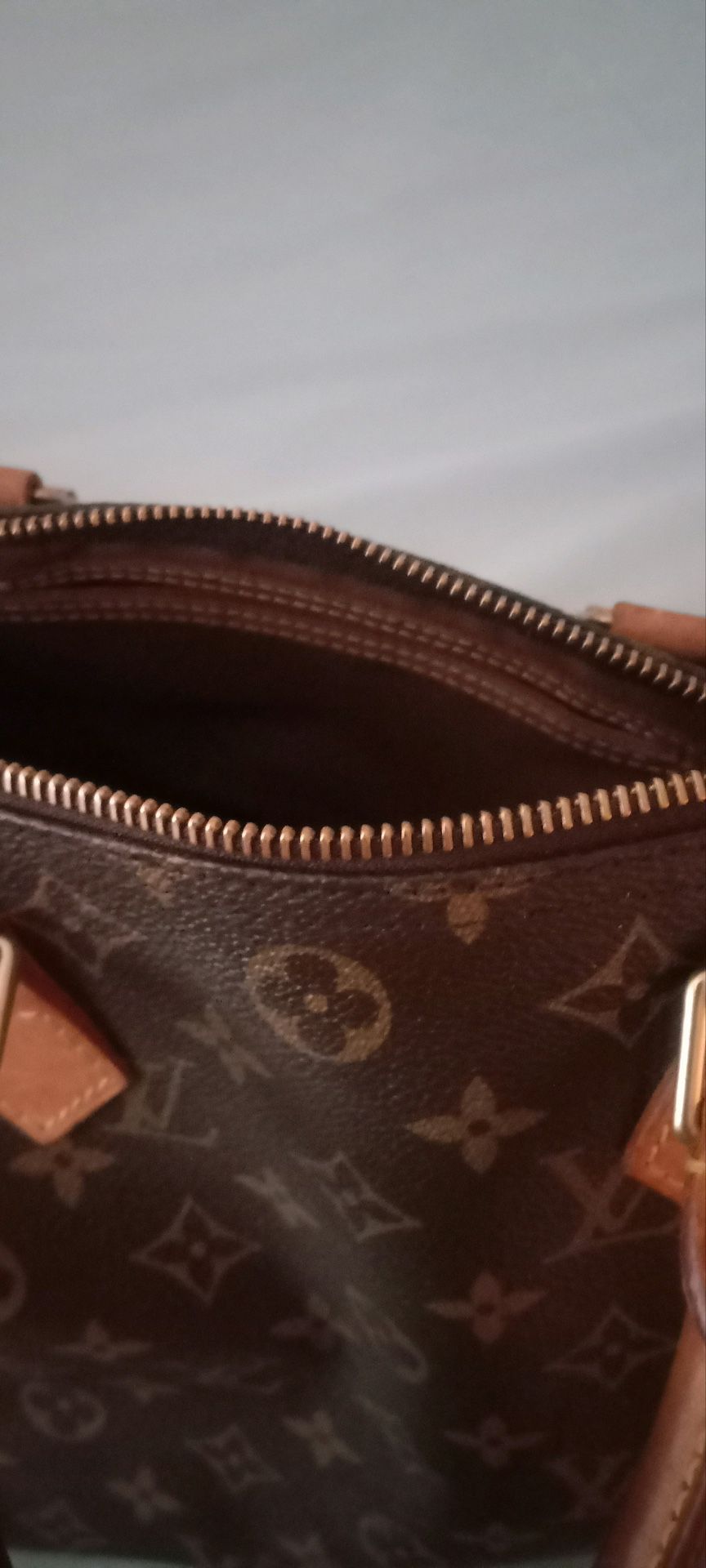 Authentic Louis Vuitton Bag for Sale in Apple Valley, CA - OfferUp