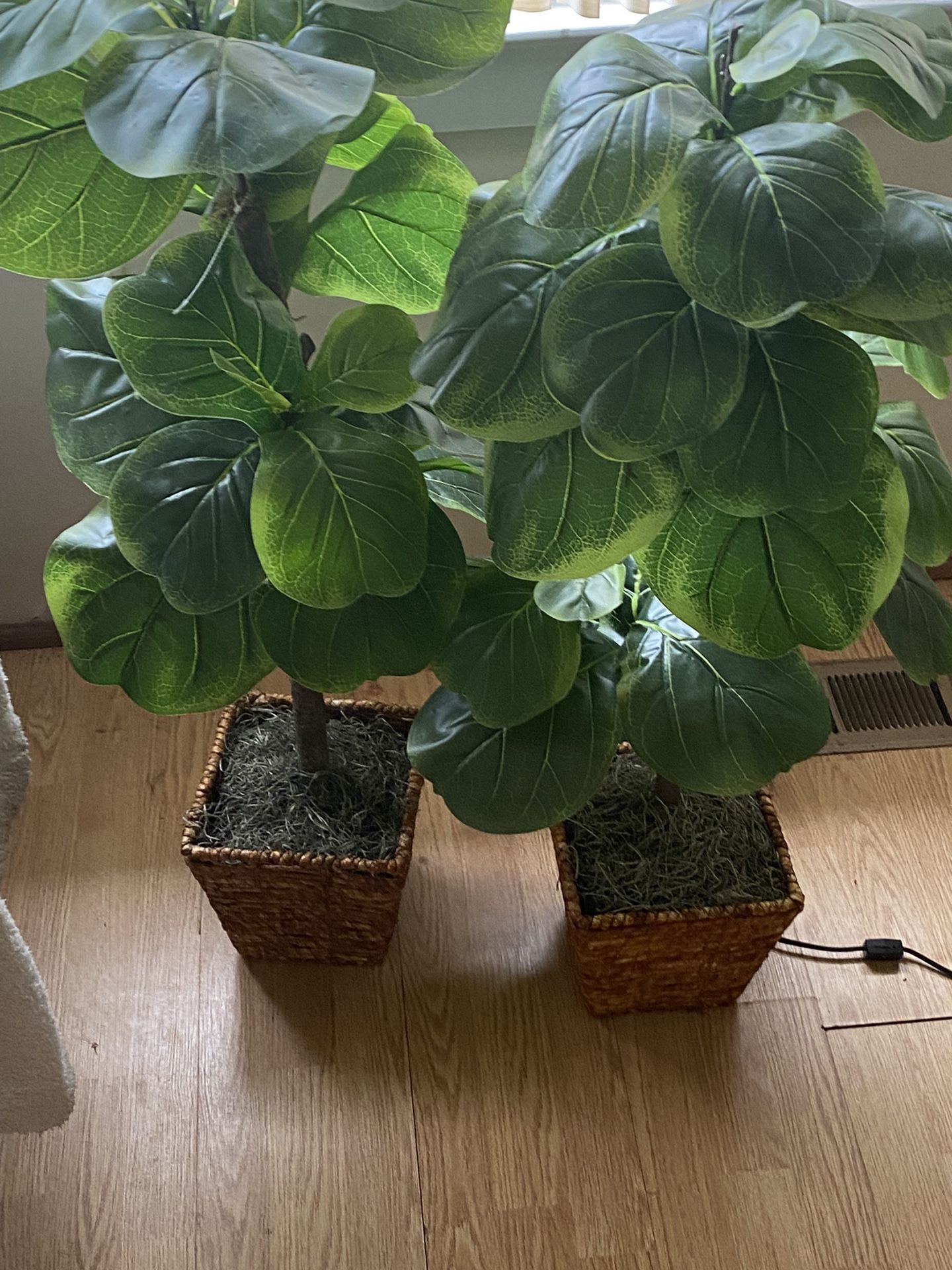 Artificial Plants