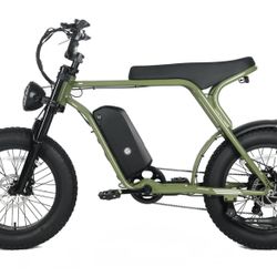 Garvee Electric Mountain Bike 