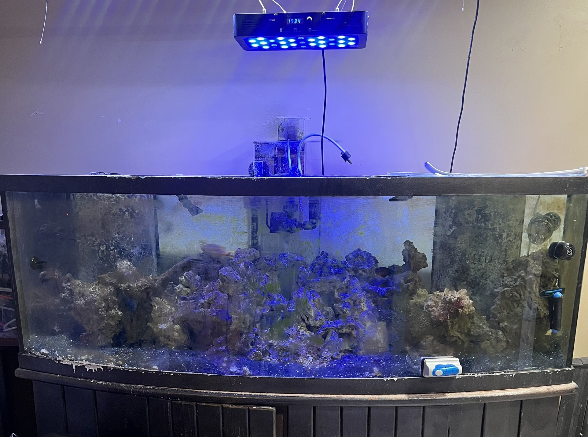 180 Gallon Fish tank