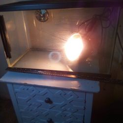  💡🐸🐍🐲🦂🕷️🐁🦐🦎 Reptile terrarium Setup