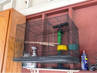 Large Bird cage