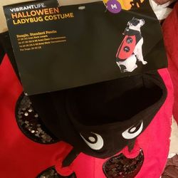 PET LADYBUG Costume