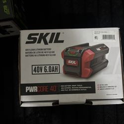 Skil Pwr Core 40V 6.0 Ah Lithium  Battery 