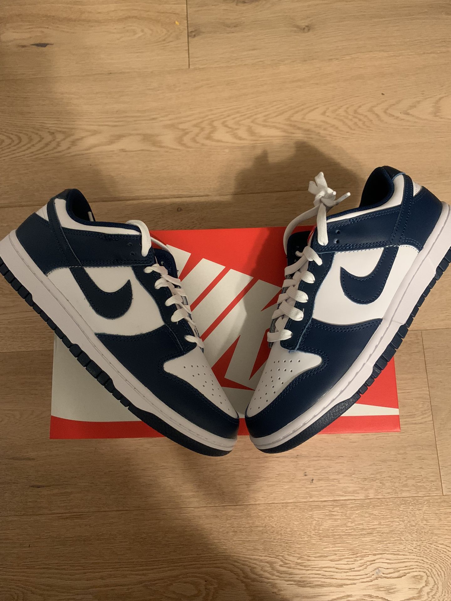 Nike Dunk Low Valerian Blue 8M