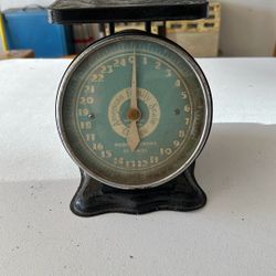 American Family Scale 24 LB Kitchen Rustic Farmhouse Green Teal Metal