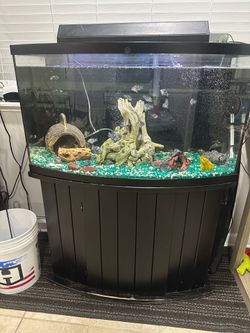 47 gallon Bowfront Aquarium Fish tank Complete Setup