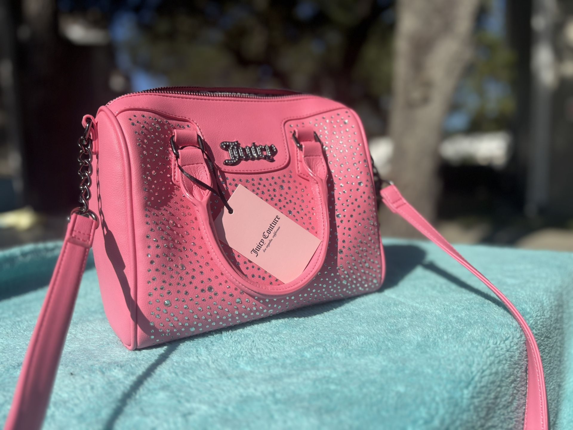 Brand New Juicy Purse