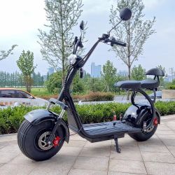 Brand New ebike e-motor Big Scooter Motorcycle