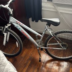 Terra Kent Mountain Bycicle
