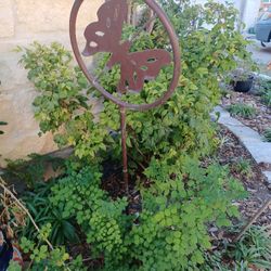 Vintage Copper Water Sprinkler