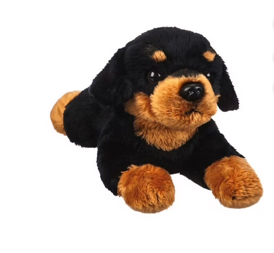 Plushy. Peluche.