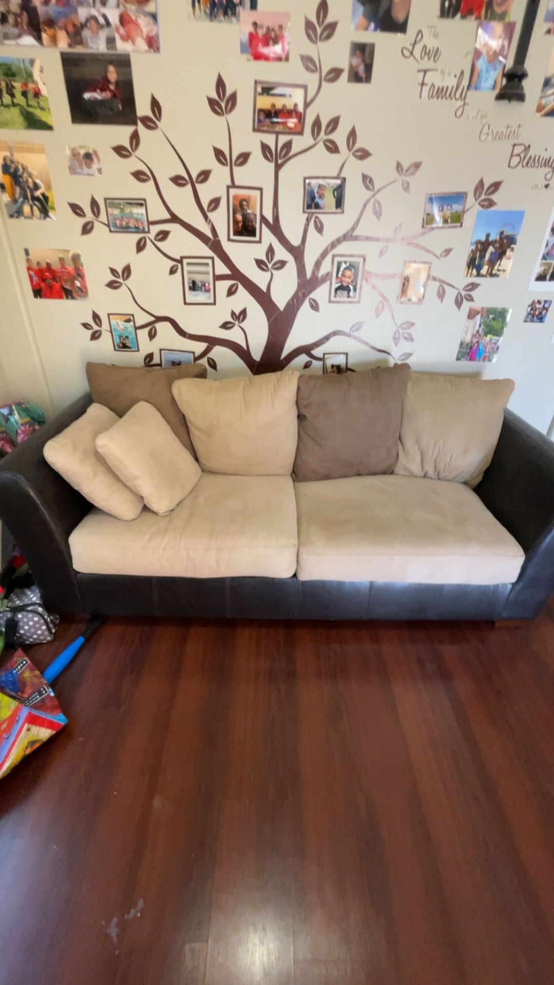 2 Leather Couches / Pull out bed -Full size included.