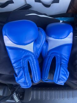 Adams Boxing Gloves
