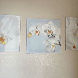 Wall Decor/ Canvas Art