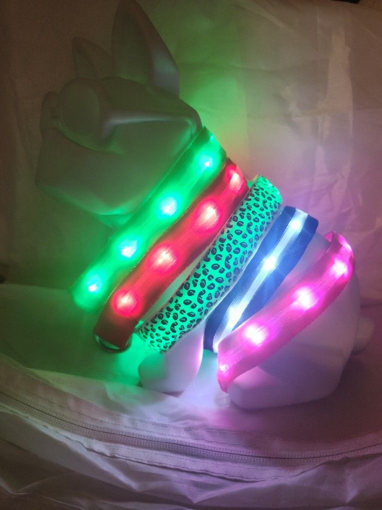 Dog Glow Collar