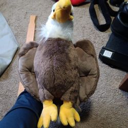 Bald Eagle Stuffed Animal 