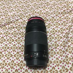 Canon 75-300mm Lens