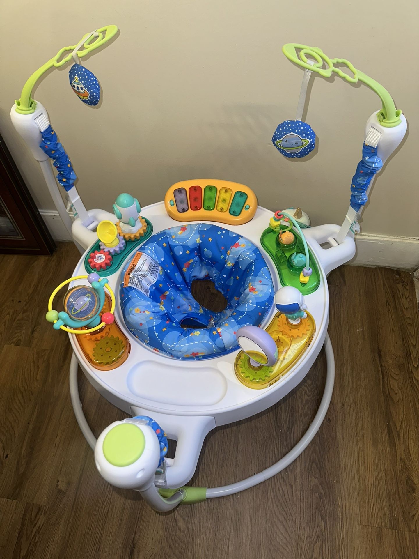 Fisher-Price Baby Bouncer Whimsical Forest Jumperoo Activity Center with Music and Lights, Unisex