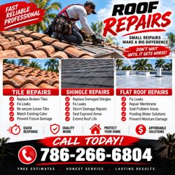 Reparación de Techos - Roof Repairs