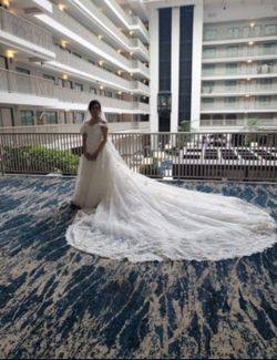 Princess Cathedral Train Tulle And Lace Wedding Dress