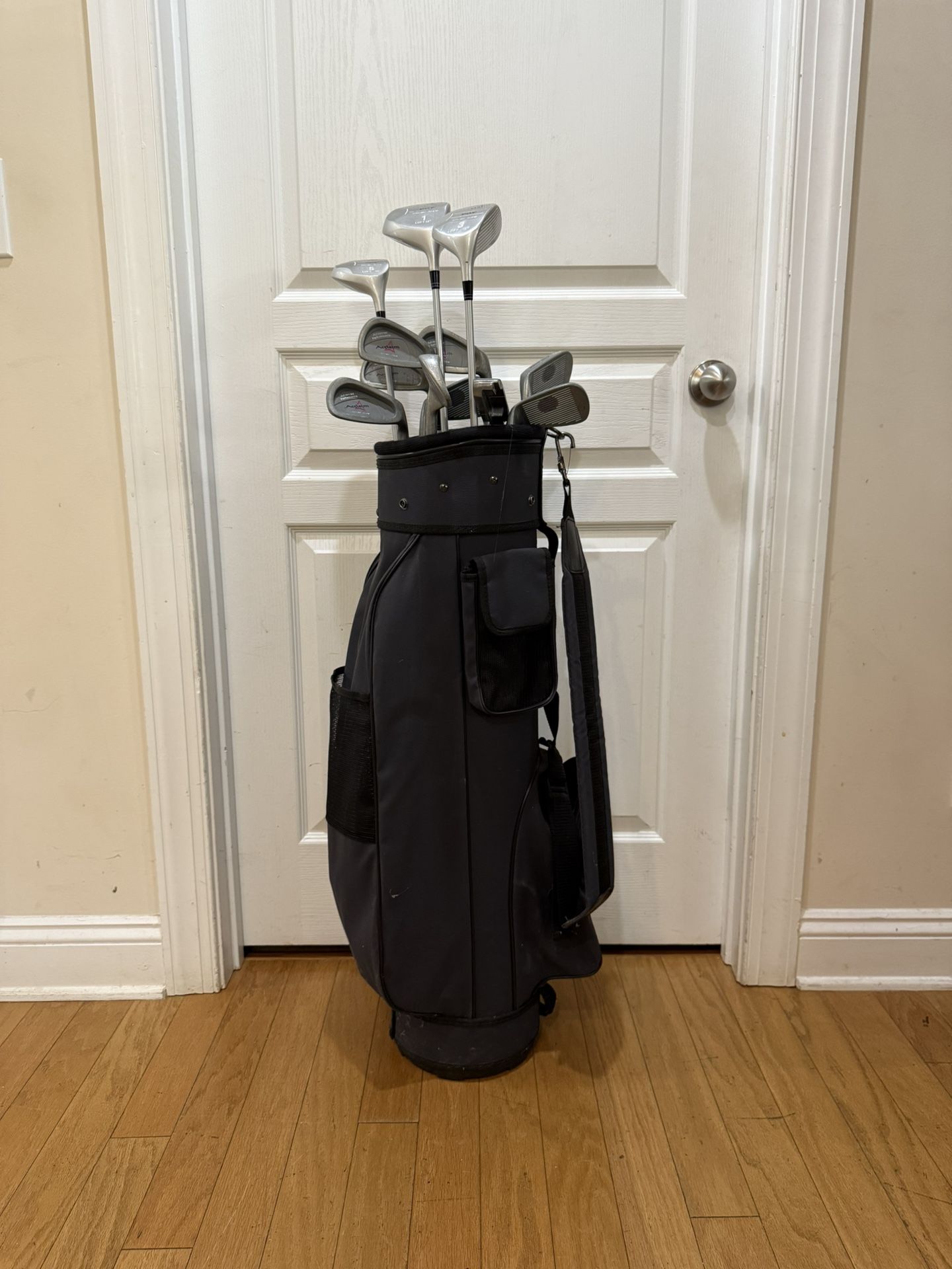 ACCLAIM PGF Oversize Set 12 clubs 3-9 P Driver FW3 FW5 Graphite Ladies Flex RIGHT (Good condition) PICK UP IN CORNELIUS