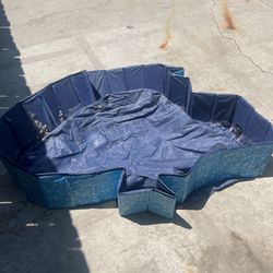 Dog Pool