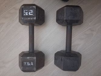 25lb cast iron hex dumbbells TSA (the sports authority)...30$ for both..