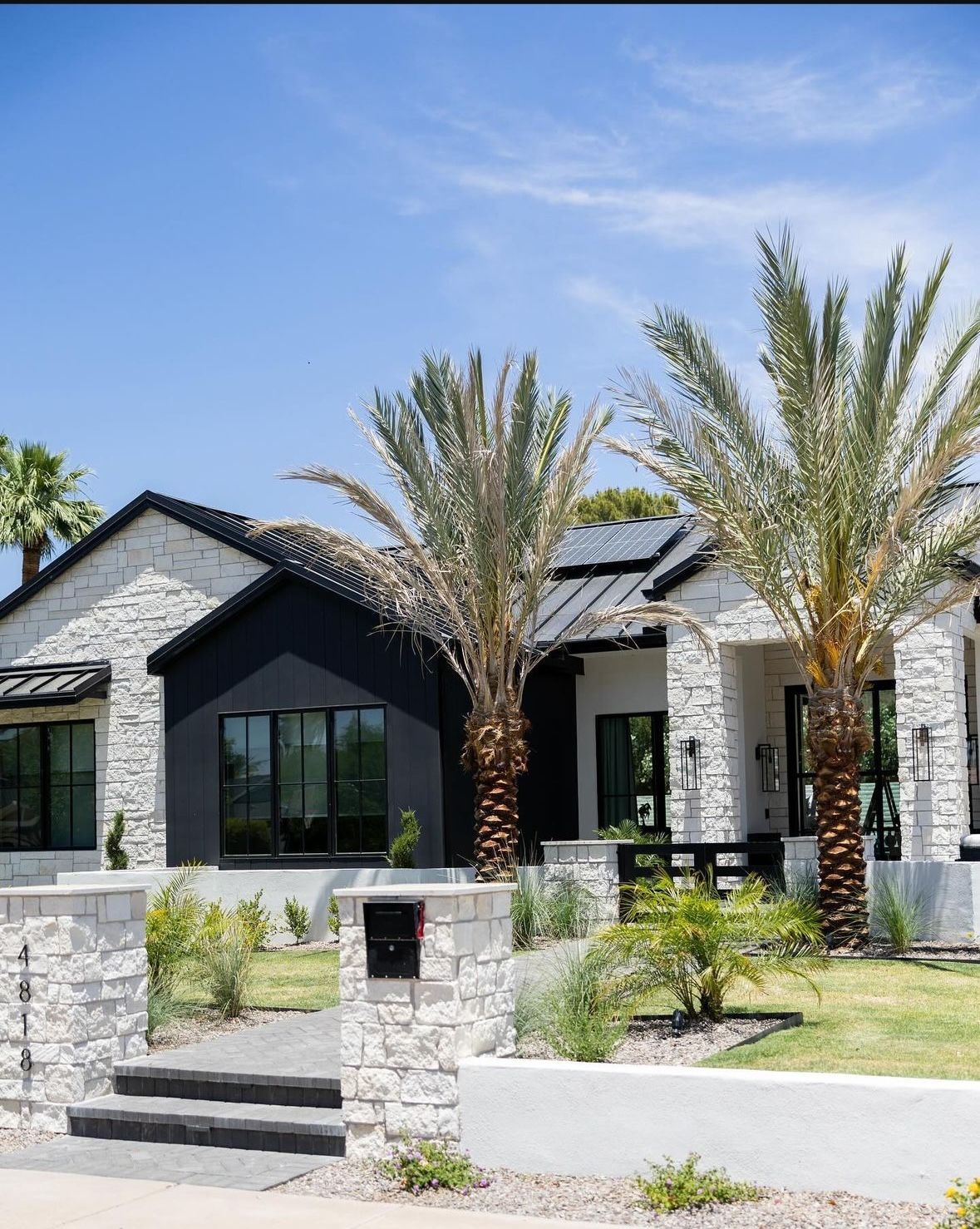 Palm Trees For Sale