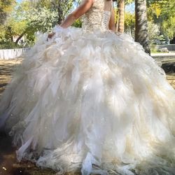 Quinceanera Dress 