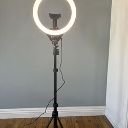12”  Ring Light With 63” Tripod Stand
