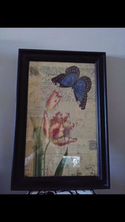 Butterfly Wall Art