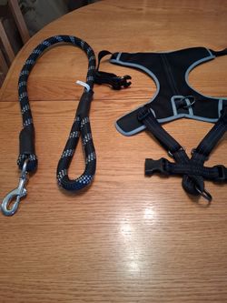 Black leash and harness size large