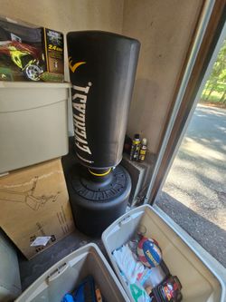 Punching/kicking bag