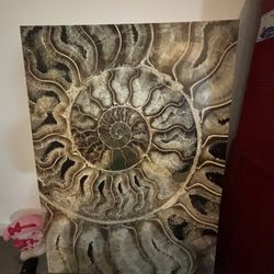 Seashell Decoration 