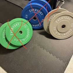 Colored Olympic Bumper Plate Weight Plate One 10 lb pounds grey plate 