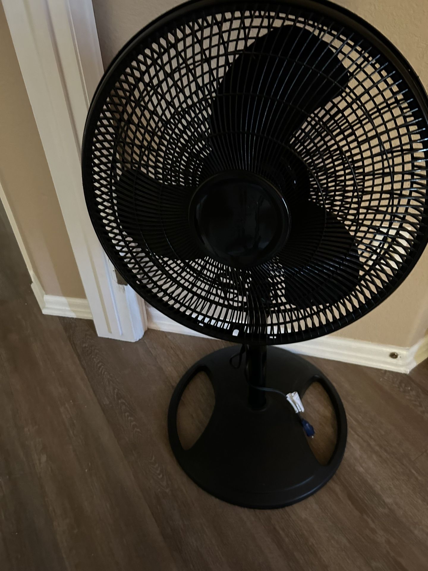 Fan