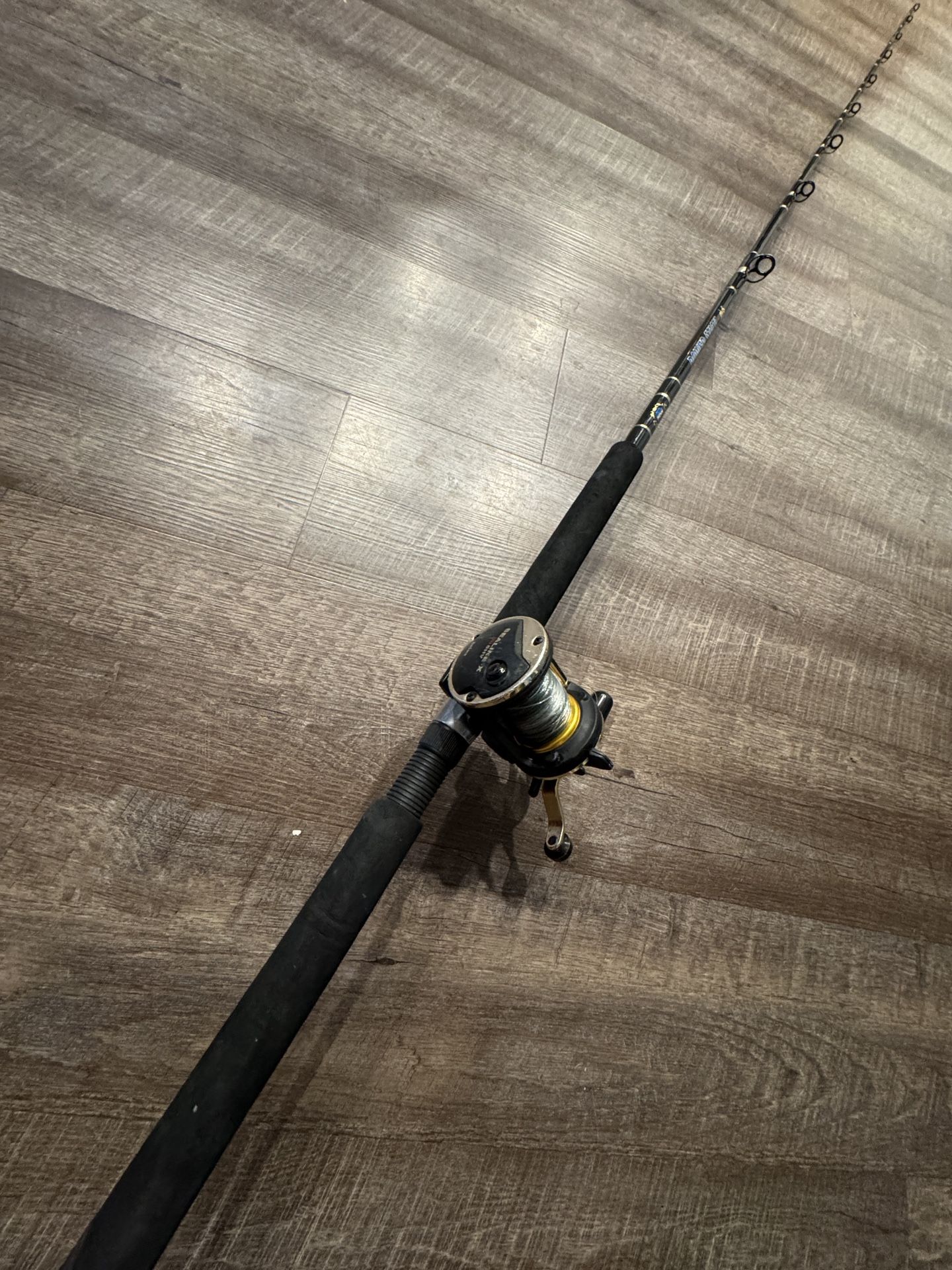 Daiwa Sealine Penn Powers Stick Conventional Fishing Combo