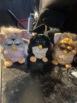 3 Ferbys