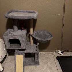 Kitten Condo