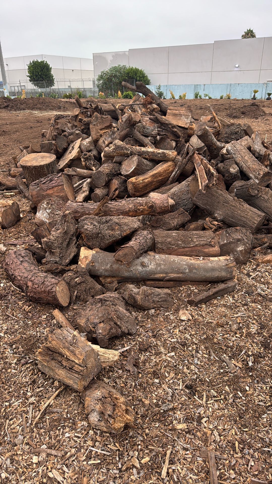 Firewood