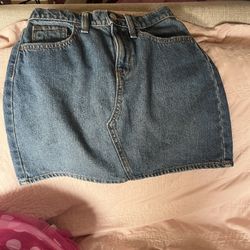 Skirt Size 12