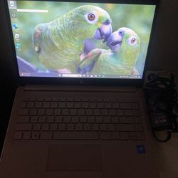 Hp Laptop 10-11