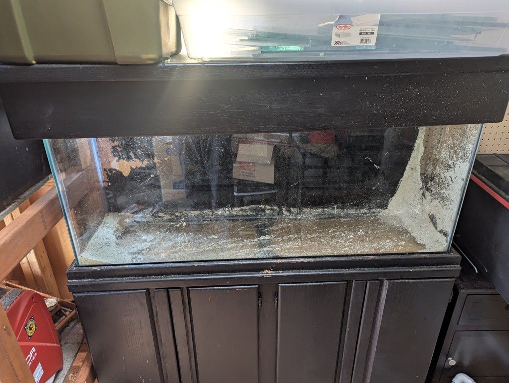 55 Gallon Tank And stand/Canopy