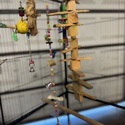 Bird Accessories $15 For All