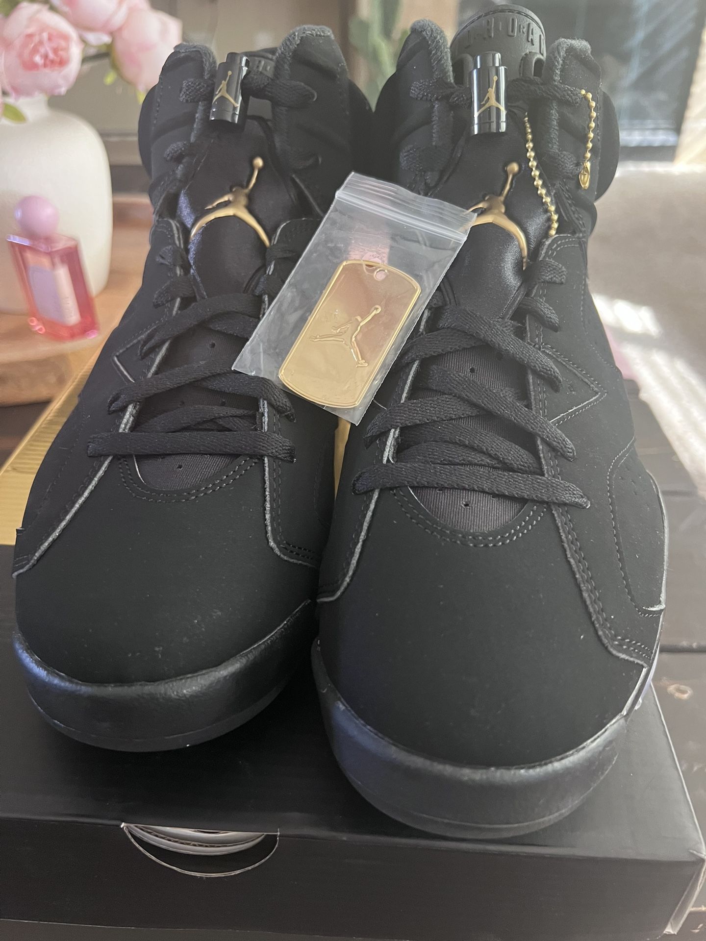 Jordan 6 DMP 10.5