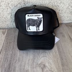 Black Sheep Goorin bros adjustable hat 🧢
