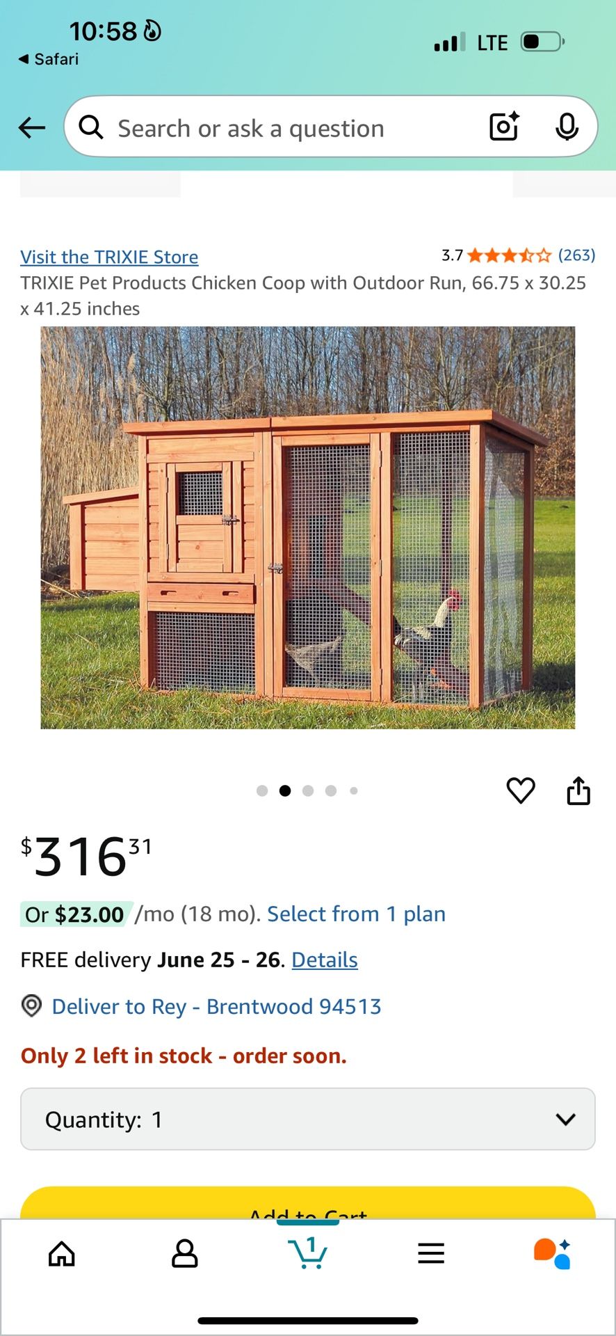 Chicken Coop / Gallinero