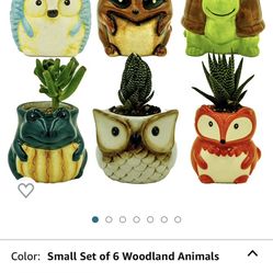 Matty's Garden Animal Ceramic Succulent Planters Set of 6 2.5 Inch Small Cactus Pots with Drainage Hole Raccoon Owl Turtle Hedgehog Frog Fox