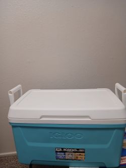 Ice cooler